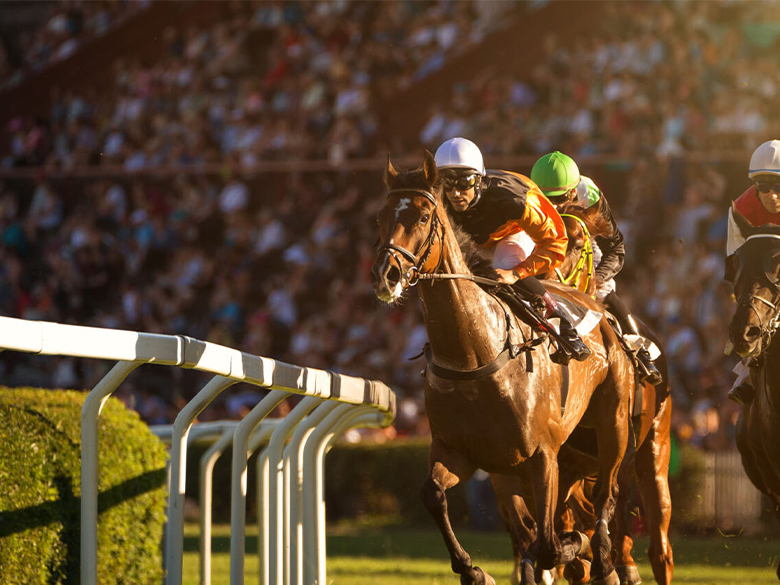 Jockeys racing at Cheltenham